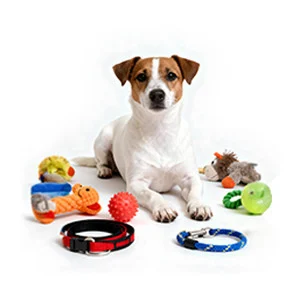 Accesorios