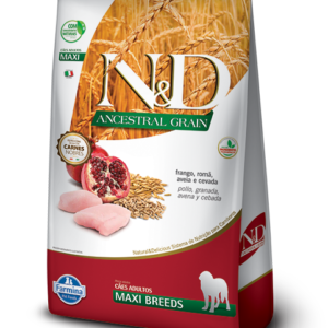 N&D Granos Ancestrales Adulto Maxi Pollo 10.1kg