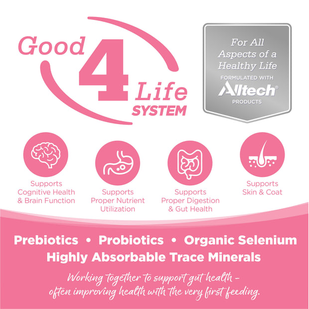 Nutri Source Pure Vita Salmon y Guisantes Libre de Granos - Imagen 3